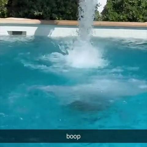 Charli Damelio Water Park Bikini Wave Pool Video Leaked Viral Hub Porn