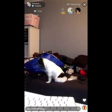 Lauren Alexis Nude Patreon Snapchat Leaked!